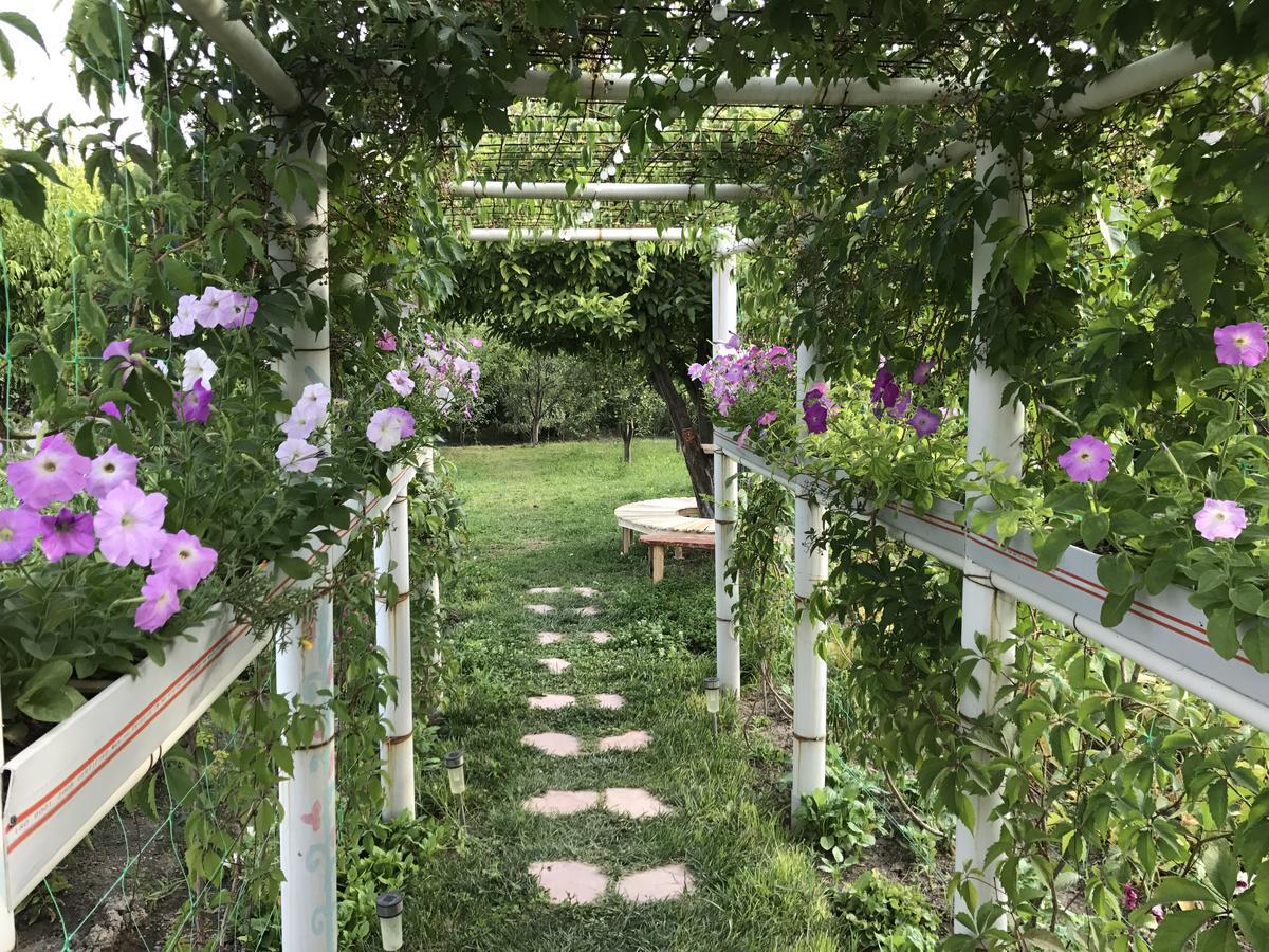 Ashot & Gohar B&B Chʼiva Exterior foto