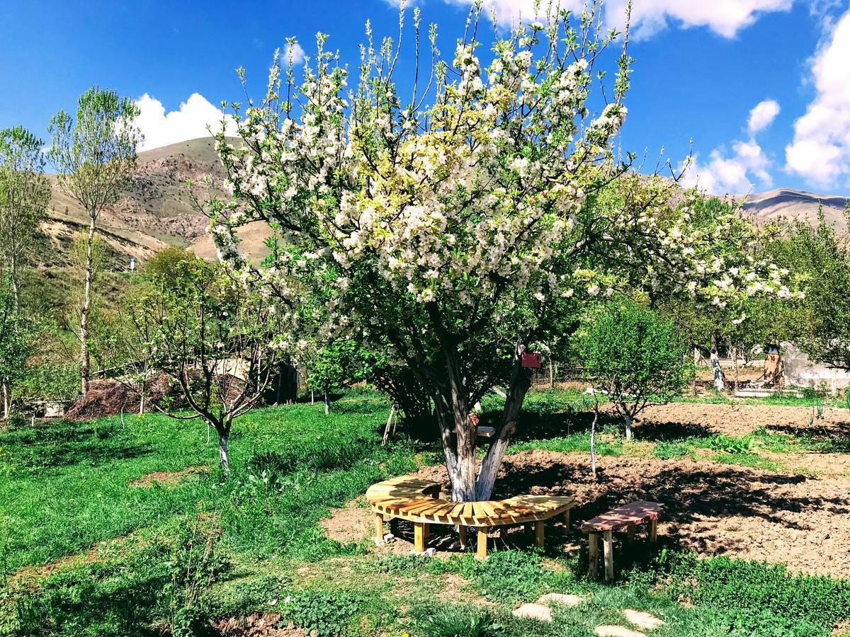 Ashot & Gohar B&B Chʼiva Exterior foto